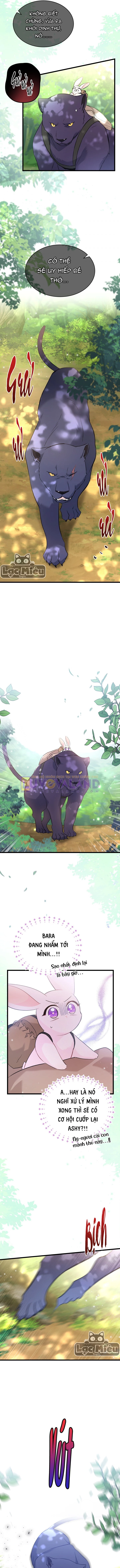 Mối Liên Kết Giữa Báo Đen Và Bé Thỏ Chapter 61 - Trang 2