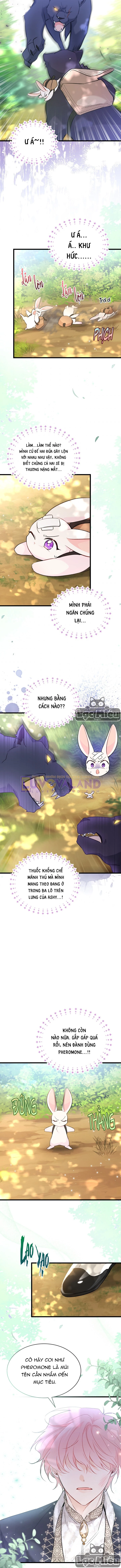 Mối Liên Kết Giữa Báo Đen Và Bé Thỏ Chapter 61 - Trang 2