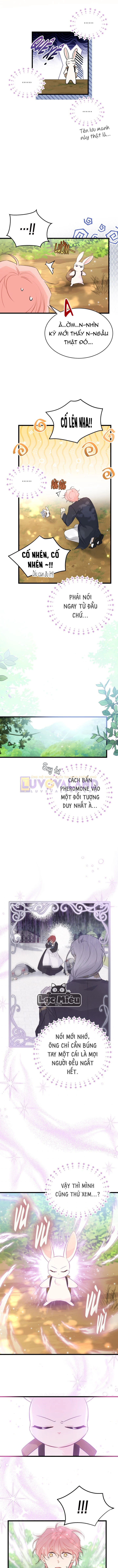 Mối Liên Kết Giữa Báo Đen Và Bé Thỏ Chapter 61 - Trang 2