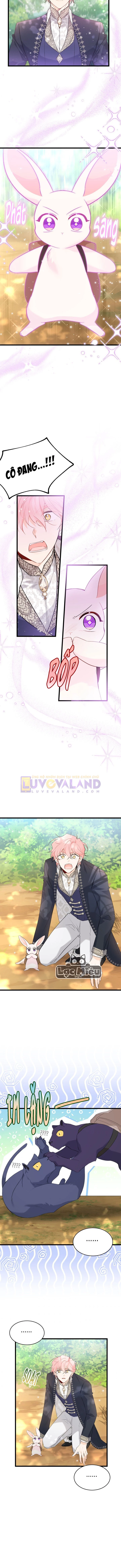 Mối Liên Kết Giữa Báo Đen Và Bé Thỏ Chapter 61 - Trang 2