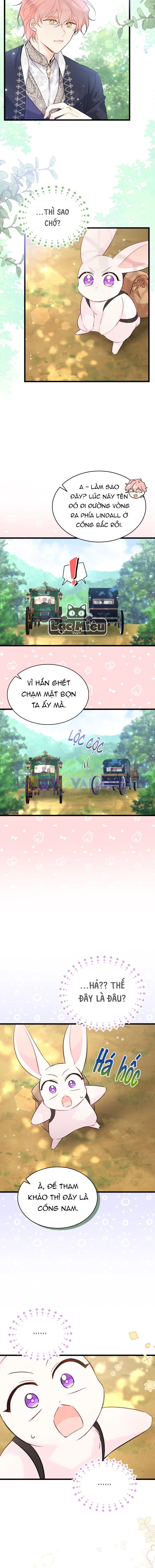 Mối Liên Kết Giữa Báo Đen Và Bé Thỏ Chapter 61 - Trang 2