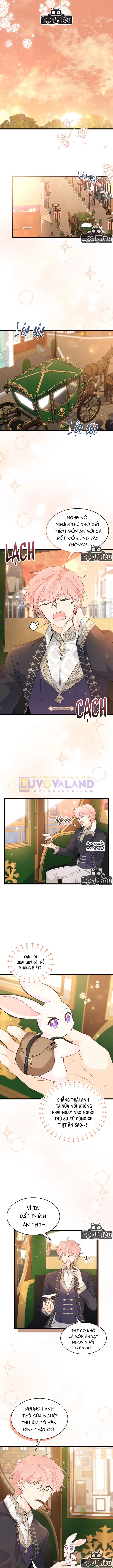 Mối Liên Kết Giữa Báo Đen Và Bé Thỏ Chapter 62 - Trang 2