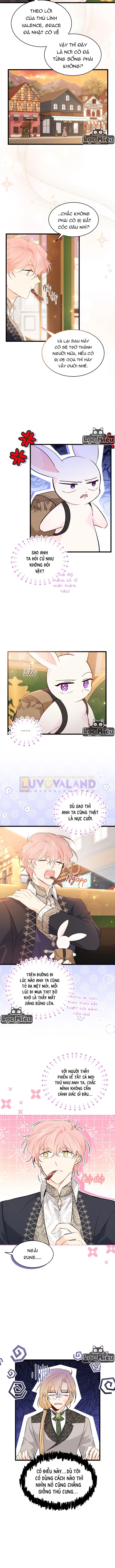 Mối Liên Kết Giữa Báo Đen Và Bé Thỏ Chapter 62 - Trang 2