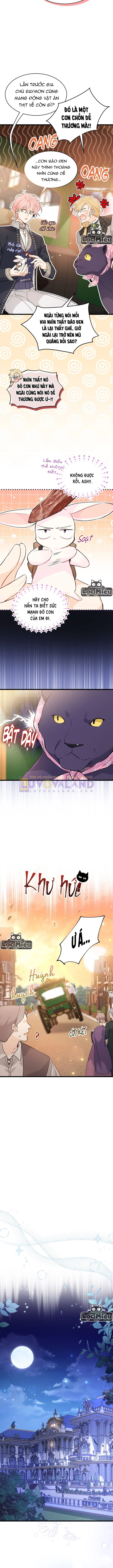 Mối Liên Kết Giữa Báo Đen Và Bé Thỏ Chapter 62 - Trang 2