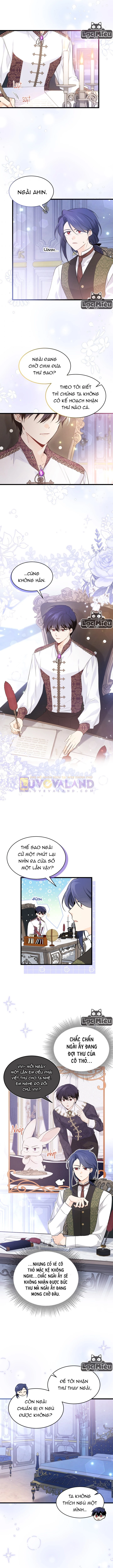 Mối Liên Kết Giữa Báo Đen Và Bé Thỏ Chapter 62 - Trang 2