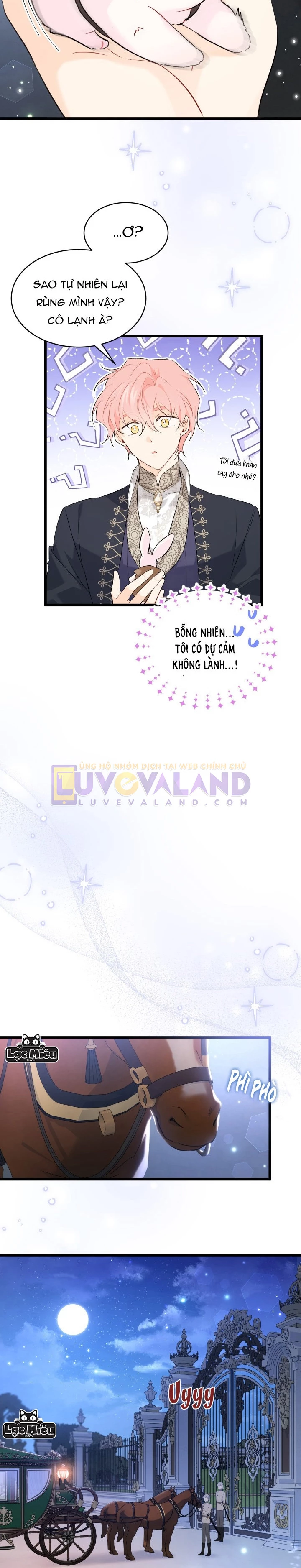 Mối Liên Kết Giữa Báo Đen Và Bé Thỏ Chapter 62 - Trang 2