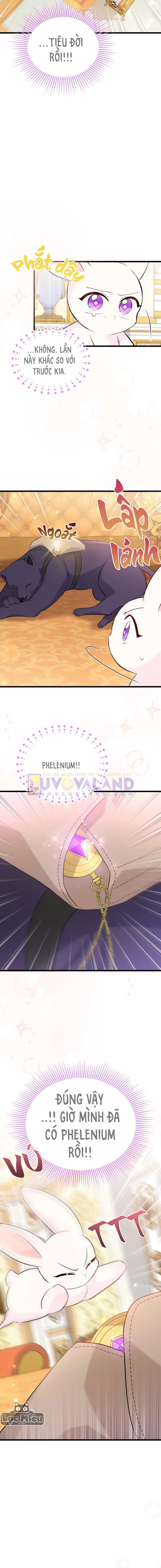 Mối Liên Kết Giữa Báo Đen Và Bé Thỏ Chapter 63 - Trang 2