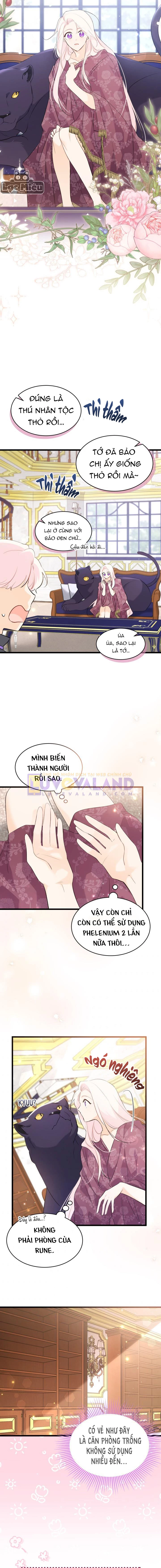Mối Liên Kết Giữa Báo Đen Và Bé Thỏ Chapter 63 - Trang 2