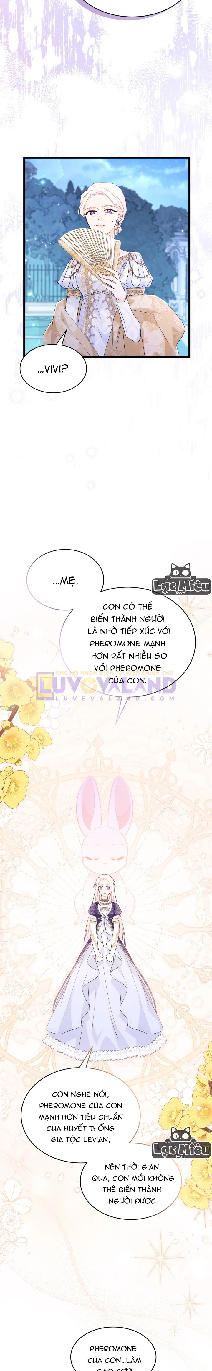 Mối Liên Kết Giữa Báo Đen Và Bé Thỏ Chapter 67 - Trang 2