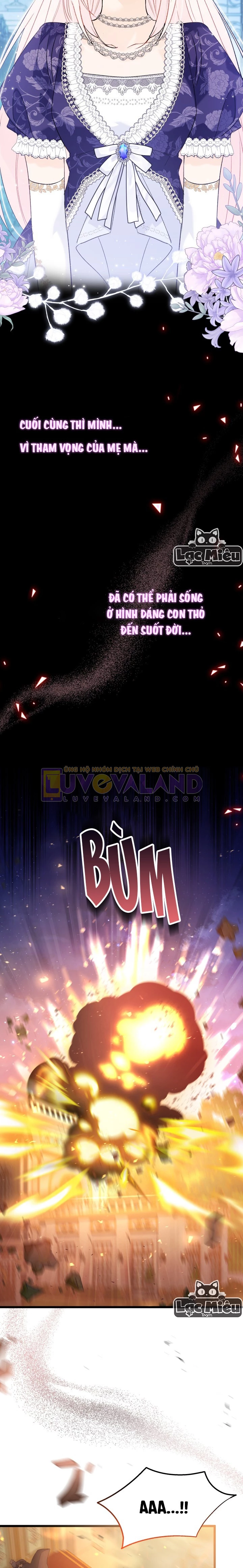 Mối Liên Kết Giữa Báo Đen Và Bé Thỏ Chapter 67 - Trang 2