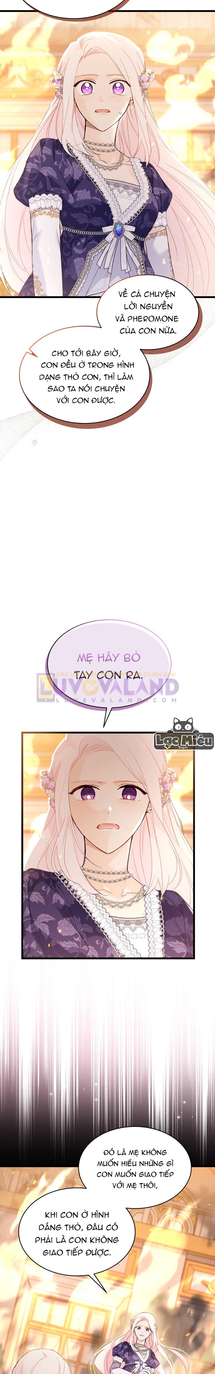 Mối Liên Kết Giữa Báo Đen Và Bé Thỏ Chapter 68 - Trang 2