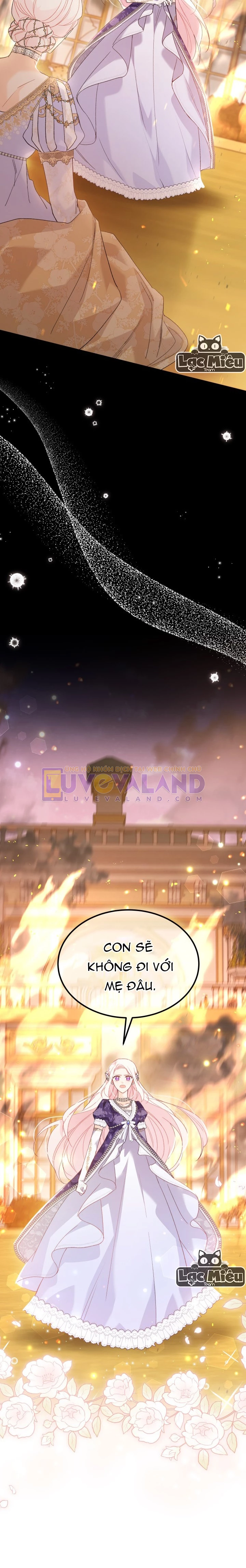 Mối Liên Kết Giữa Báo Đen Và Bé Thỏ Chapter 68 - Trang 2