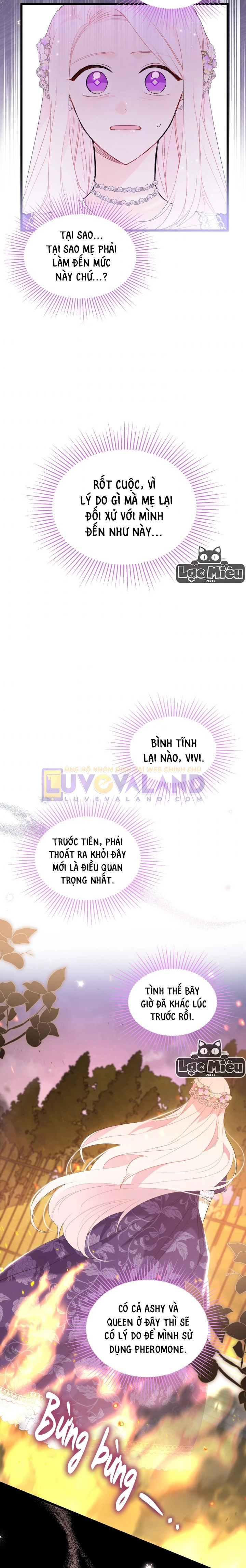 Mối Liên Kết Giữa Báo Đen Và Bé Thỏ Chapter 68 - Trang 2