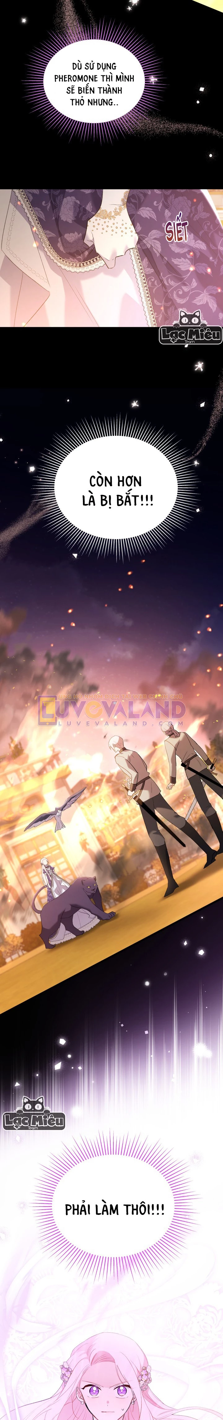 Mối Liên Kết Giữa Báo Đen Và Bé Thỏ Chapter 68 - Trang 2