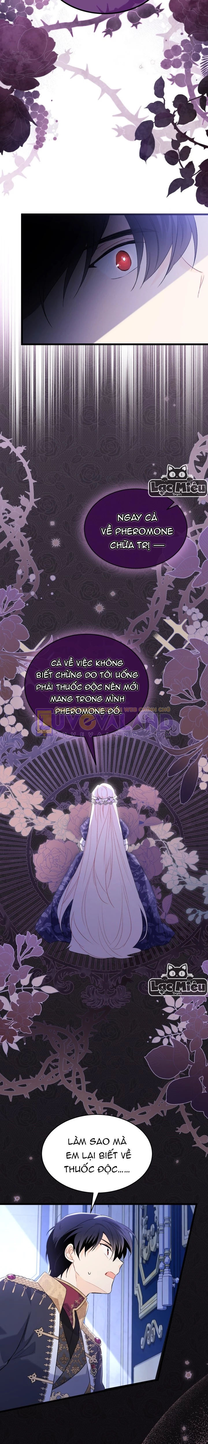 Mối Liên Kết Giữa Báo Đen Và Bé Thỏ Chapter 69 - Trang 2