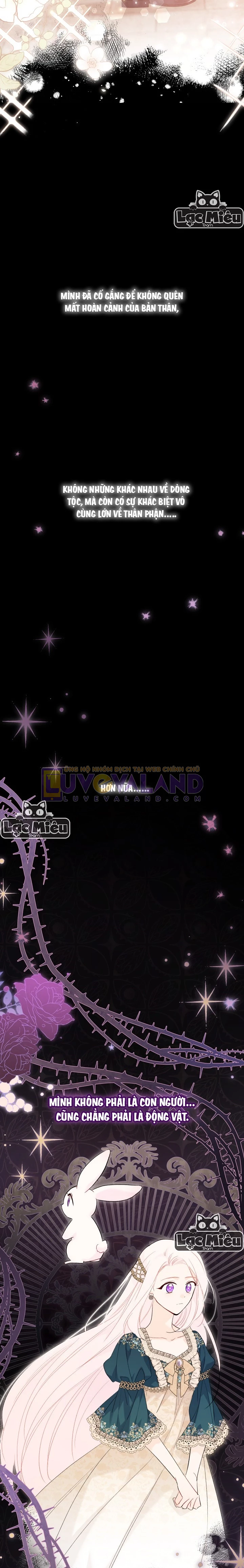 Mối Liên Kết Giữa Báo Đen Và Bé Thỏ Chapter 72 - Trang 2