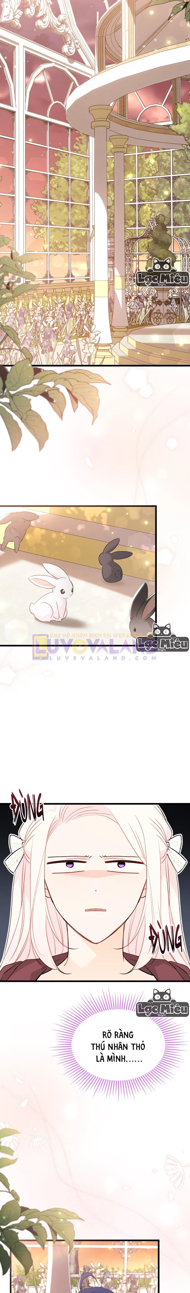 Mối Liên Kết Giữa Báo Đen Và Bé Thỏ Chapter 75 - Trang 2