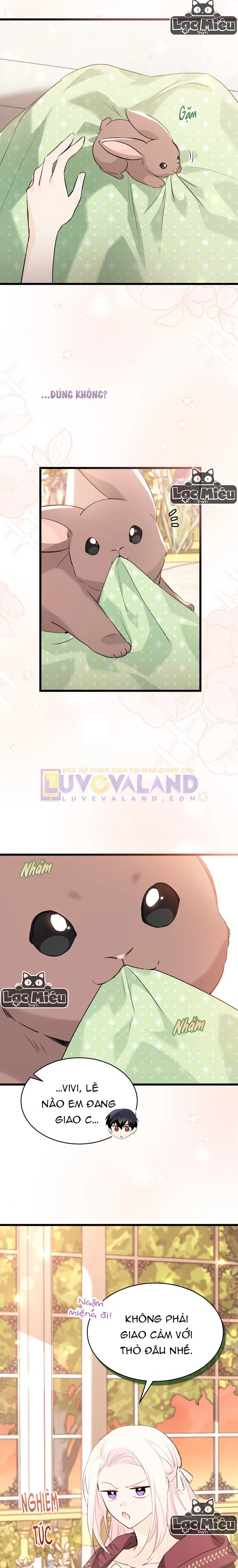 Mối Liên Kết Giữa Báo Đen Và Bé Thỏ Chapter 75 - Trang 2