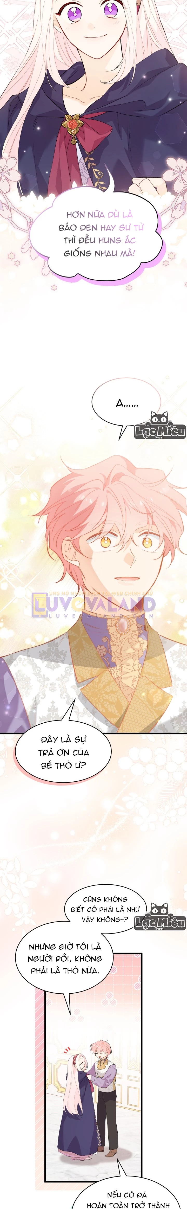 Mối Liên Kết Giữa Báo Đen Và Bé Thỏ Chapter 78 - Trang 2