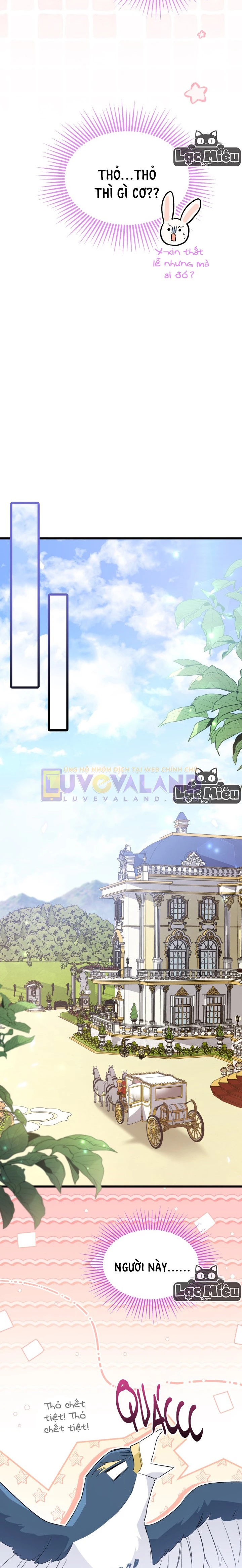 Mối Liên Kết Giữa Báo Đen Và Bé Thỏ Chapter 78 - Trang 2