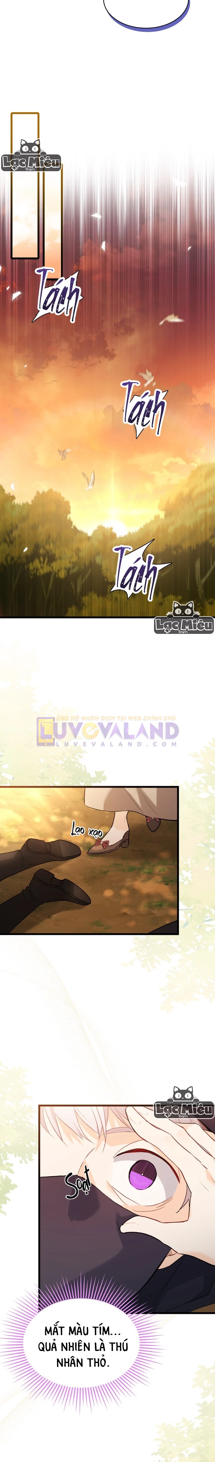 Mối Liên Kết Giữa Báo Đen Và Bé Thỏ Chapter 80 - Trang 2