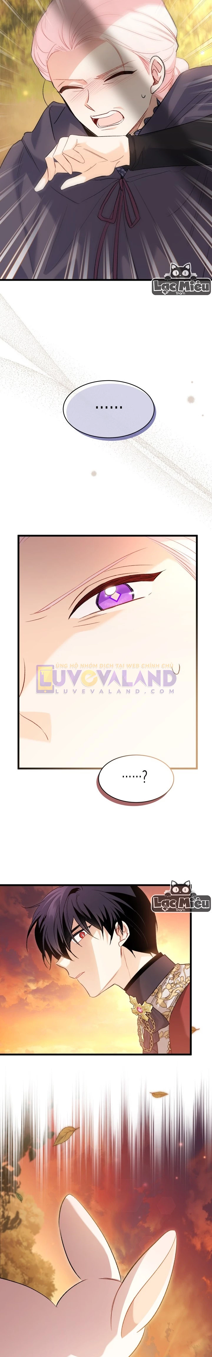 Mối Liên Kết Giữa Báo Đen Và Bé Thỏ Chapter 81 - Trang 2