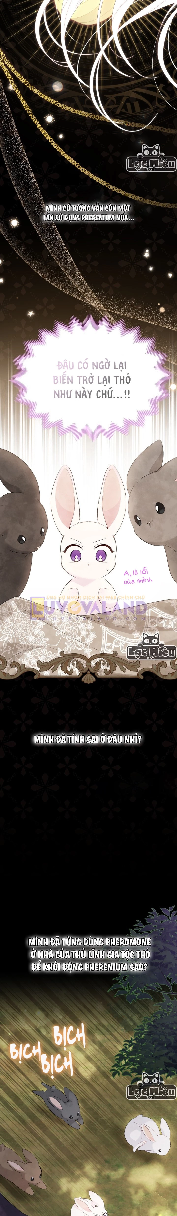 Mối Liên Kết Giữa Báo Đen Và Bé Thỏ Chapter 82 - Trang 2