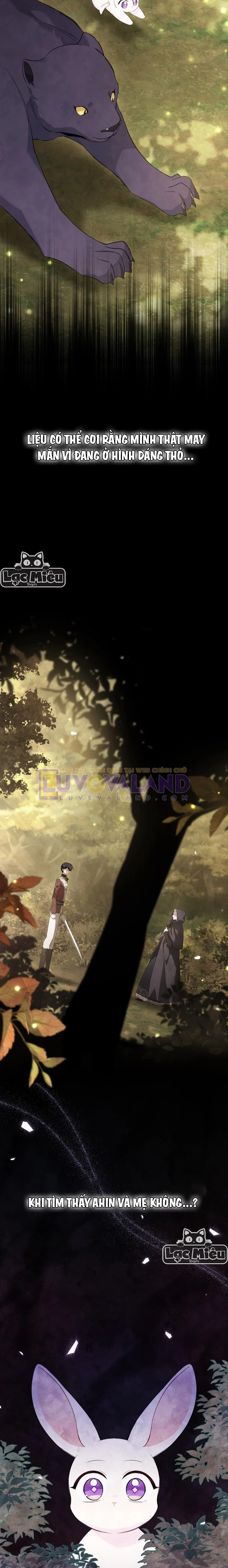 Mối Liên Kết Giữa Báo Đen Và Bé Thỏ Chapter 82 - Trang 2