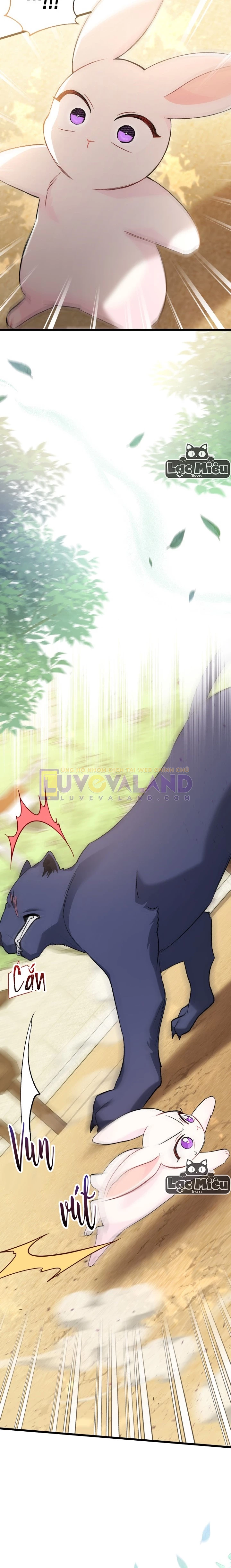 Mối Liên Kết Giữa Báo Đen Và Bé Thỏ Chapter 82 - Trang 2