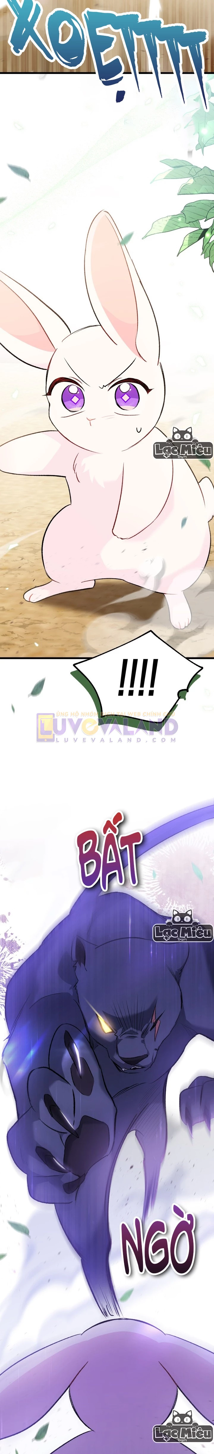 Mối Liên Kết Giữa Báo Đen Và Bé Thỏ Chapter 82 - Trang 2