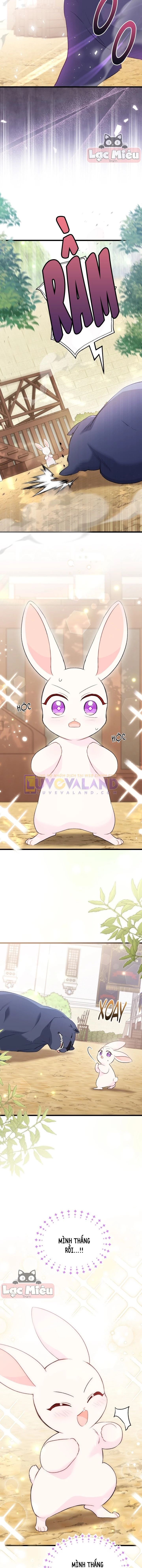 Mối Liên Kết Giữa Báo Đen Và Bé Thỏ Chapter 83 - Trang 2