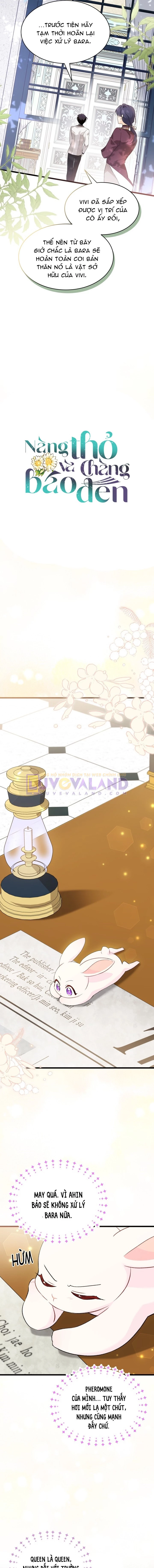 Mối Liên Kết Giữa Báo Đen Và Bé Thỏ Chapter 83 - Trang 2