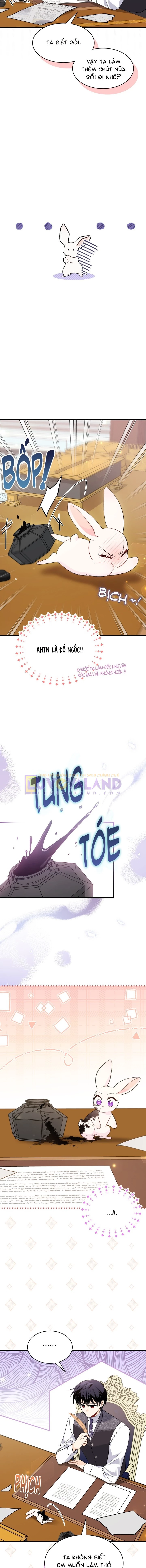 Mối Liên Kết Giữa Báo Đen Và Bé Thỏ Chapter 83 - Trang 2
