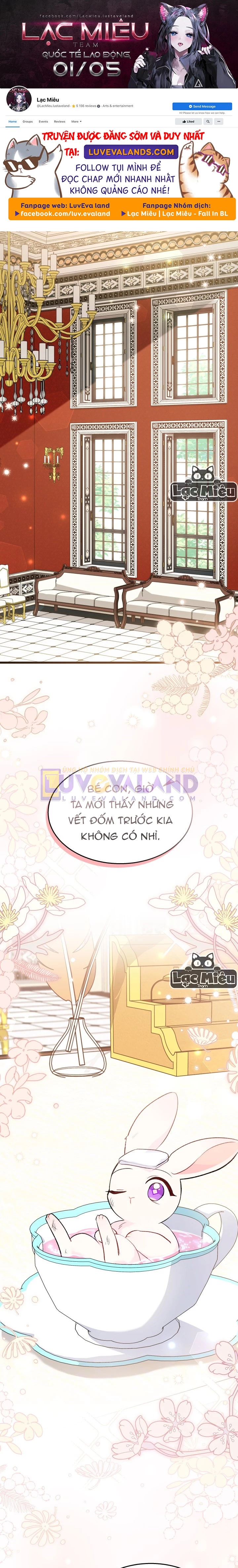 Mối Liên Kết Giữa Báo Đen Và Bé Thỏ Chapter 84 - Trang 2