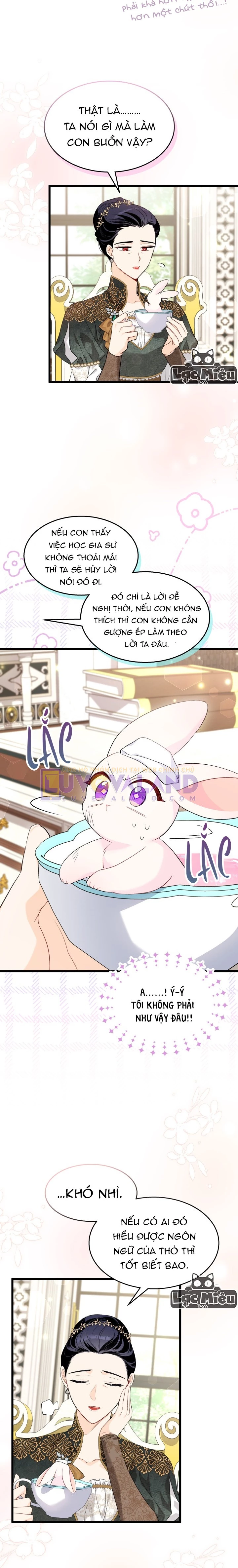 Mối Liên Kết Giữa Báo Đen Và Bé Thỏ Chapter 84 - Trang 2