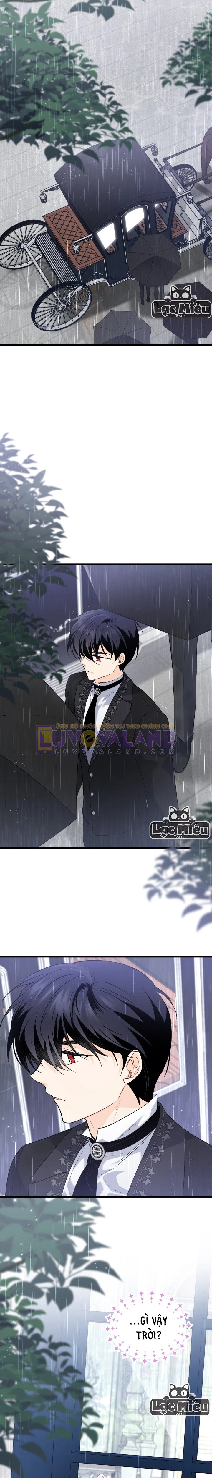 Mối Liên Kết Giữa Báo Đen Và Bé Thỏ Chapter 84 - Trang 2