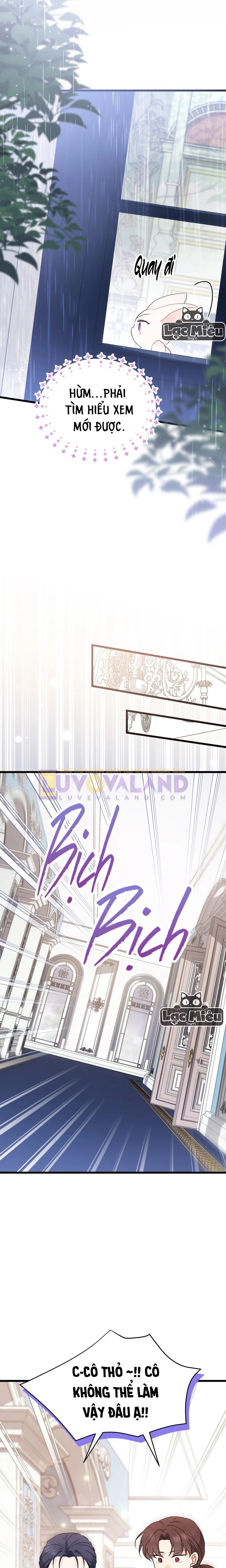 Mối Liên Kết Giữa Báo Đen Và Bé Thỏ Chapter 84 - Trang 2