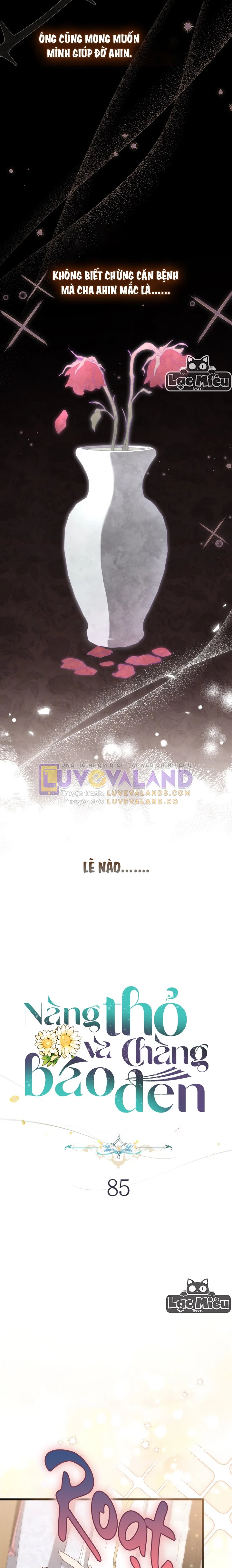 Mối Liên Kết Giữa Báo Đen Và Bé Thỏ Chapter 85 - Trang 2