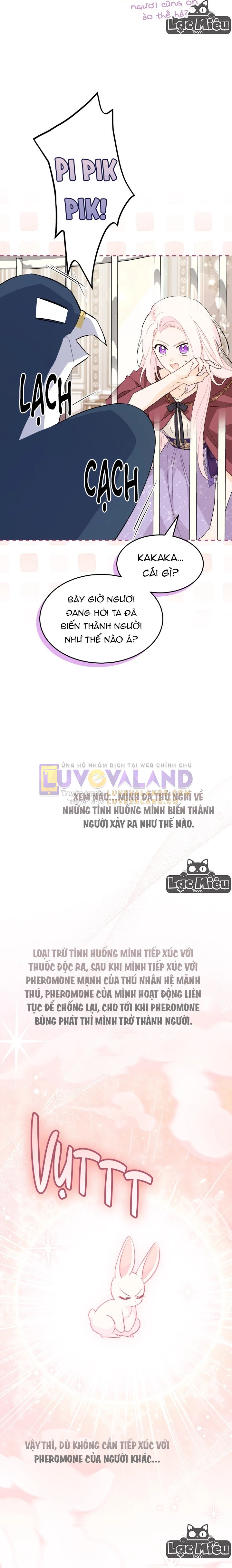 Mối Liên Kết Giữa Báo Đen Và Bé Thỏ Chapter 85 - Trang 2