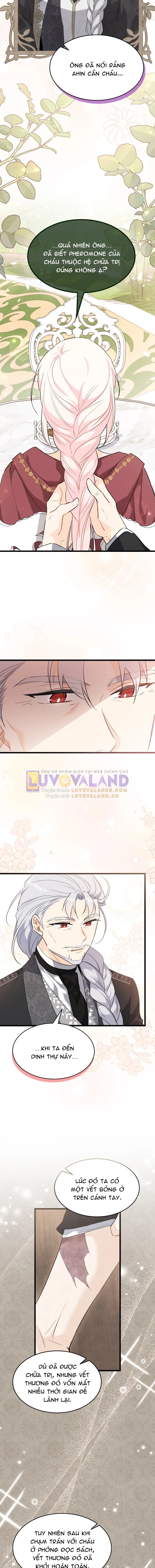 Mối Liên Kết Giữa Báo Đen Và Bé Thỏ Chapter 86 - Trang 2