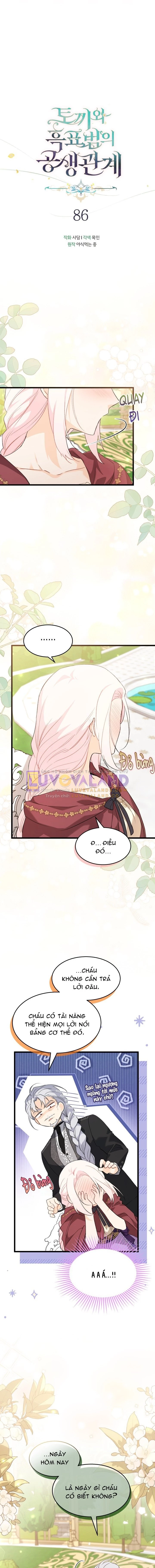 Mối Liên Kết Giữa Báo Đen Và Bé Thỏ Chapter 86 - Trang 2