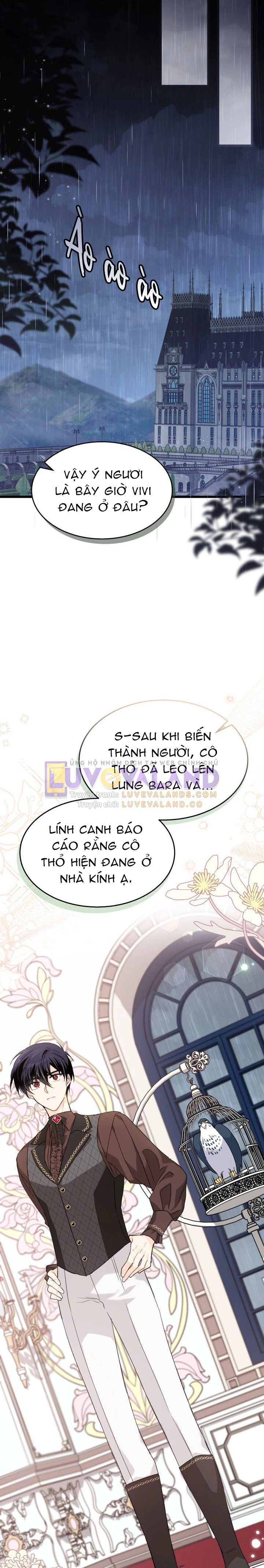 Mối Liên Kết Giữa Báo Đen Và Bé Thỏ Chapter 86 - Trang 2