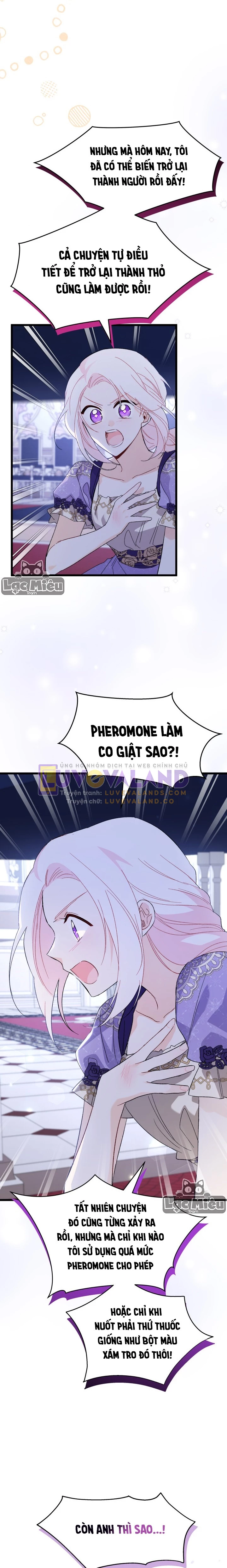 Mối Liên Kết Giữa Báo Đen Và Bé Thỏ Chapter 88 - Trang 2