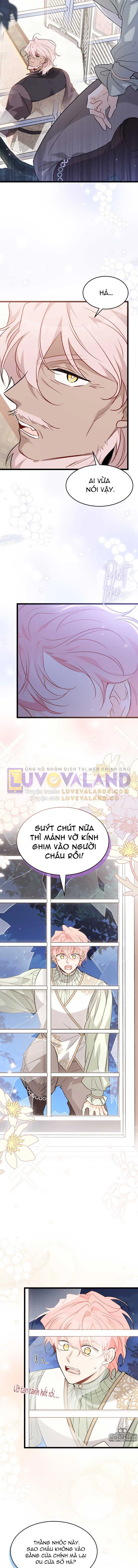 Mối Liên Kết Giữa Báo Đen Và Bé Thỏ Chapter 100 - Trang 2