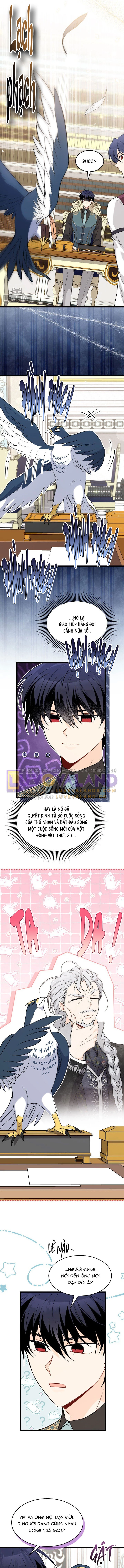 Mối Liên Kết Giữa Báo Đen Và Bé Thỏ Chapter 100 - Trang 2