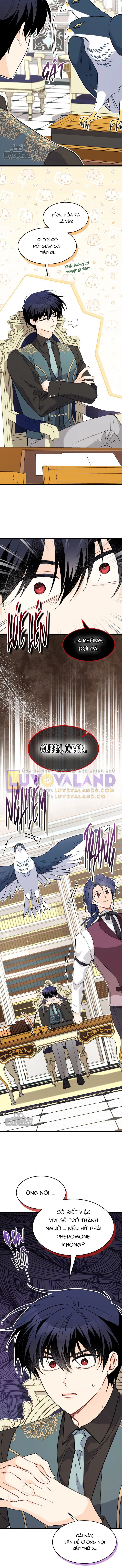 Mối Liên Kết Giữa Báo Đen Và Bé Thỏ Chapter 100 - Trang 2