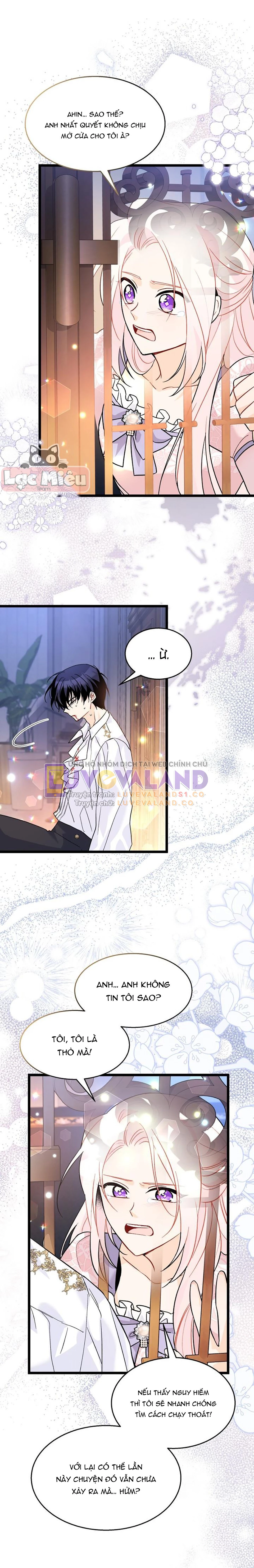 Mối Liên Kết Giữa Báo Đen Và Bé Thỏ Chapter 114 - Trang 2