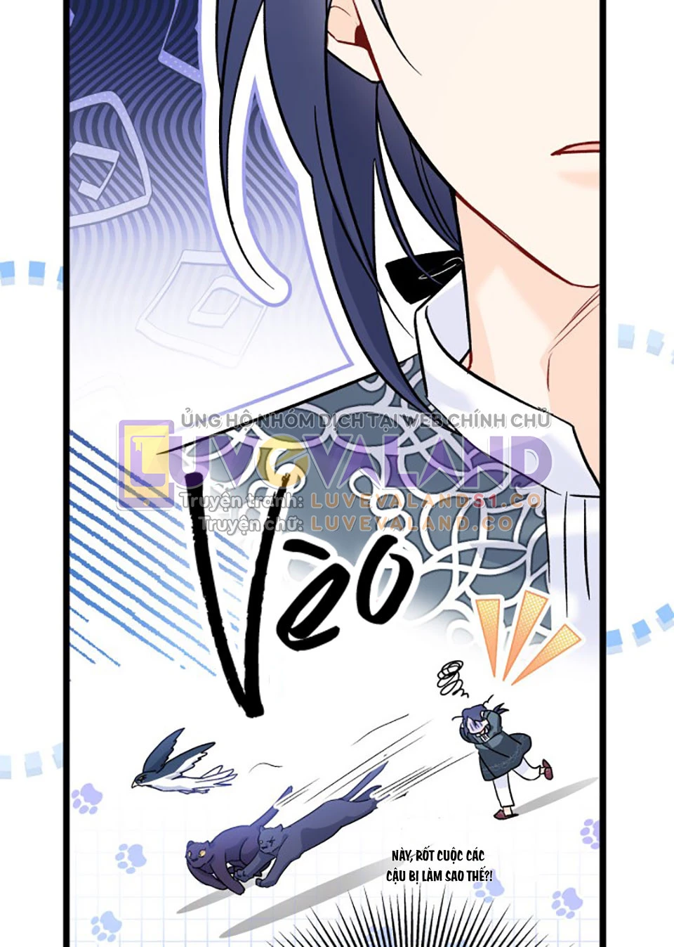 Mối Liên Kết Giữa Báo Đen Và Bé Thỏ Chapter 115 - Trang 2