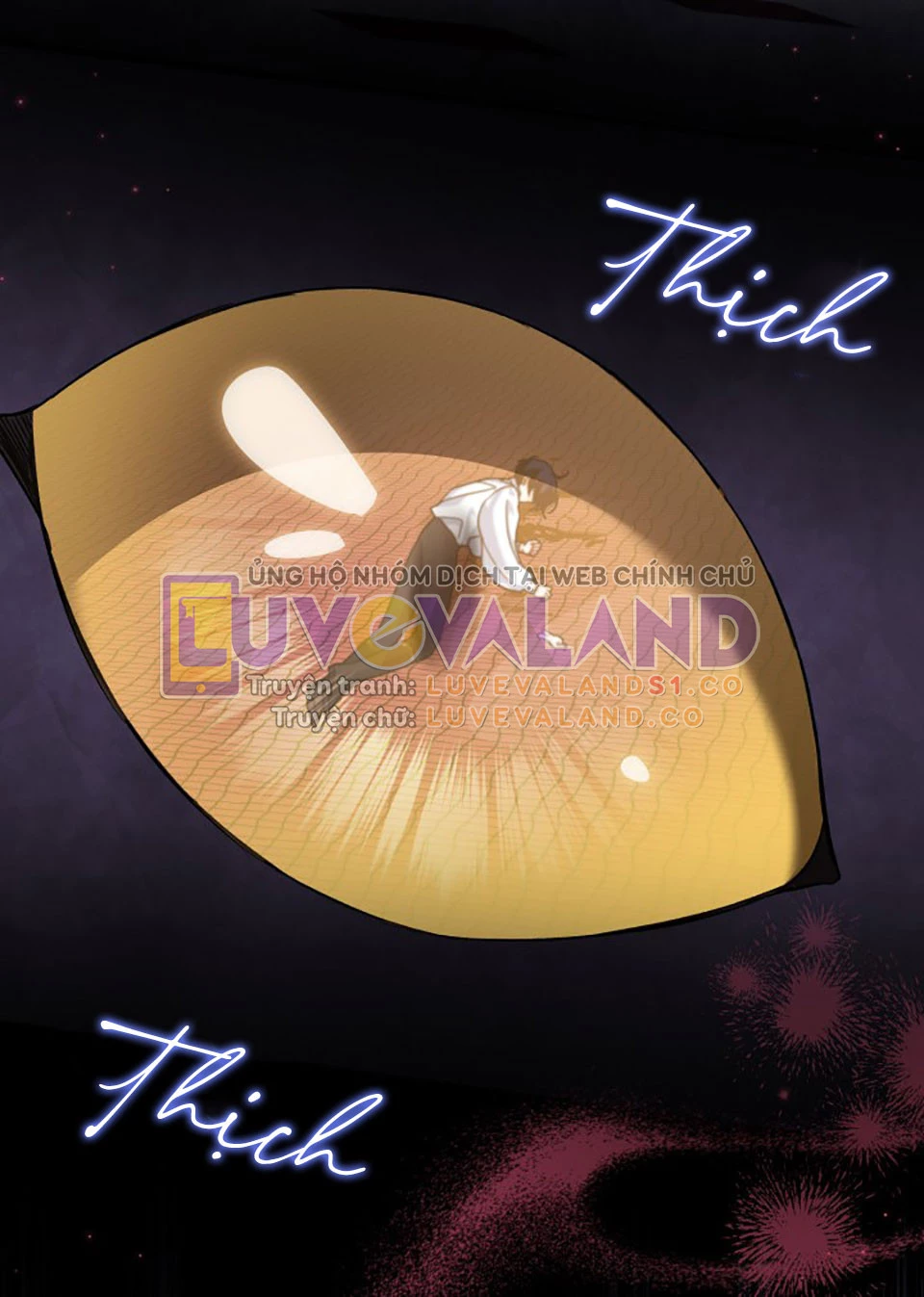 Mối Liên Kết Giữa Báo Đen Và Bé Thỏ Chapter 115 - Trang 2