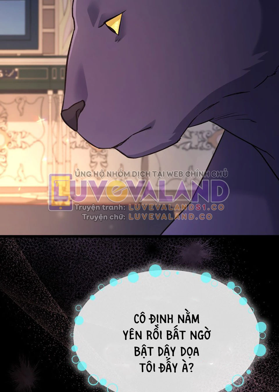 Mối Liên Kết Giữa Báo Đen Và Bé Thỏ Chapter 115 - Trang 2